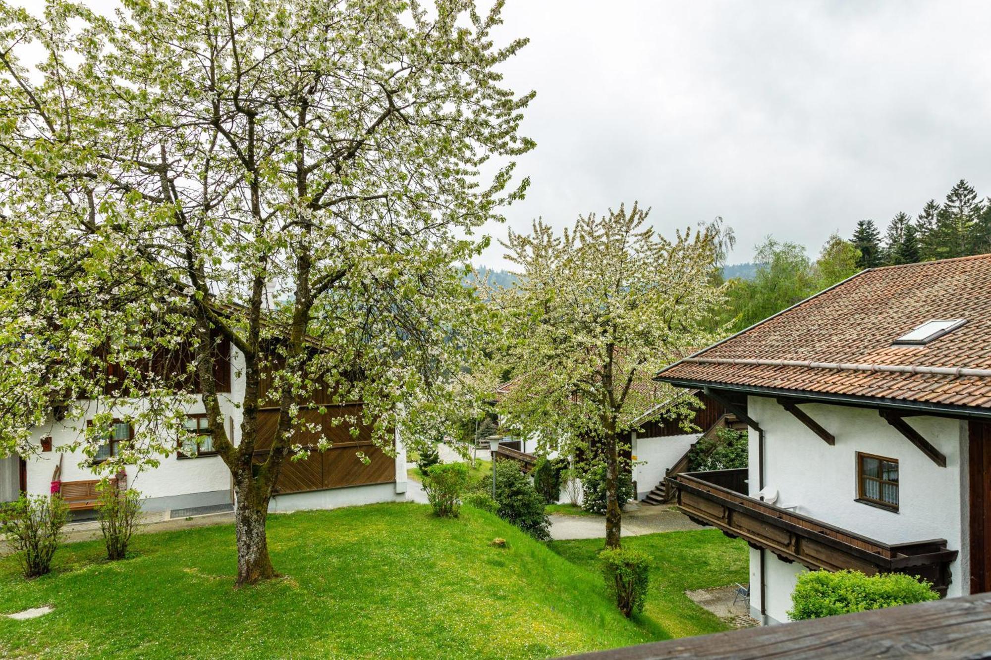 Komfortwohnung Mit Pool Und Sauna 하우젠베르크 외부 사진